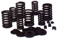 Motor Factory Valve Spring and Collar Kit