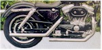 Sportster Exhaust